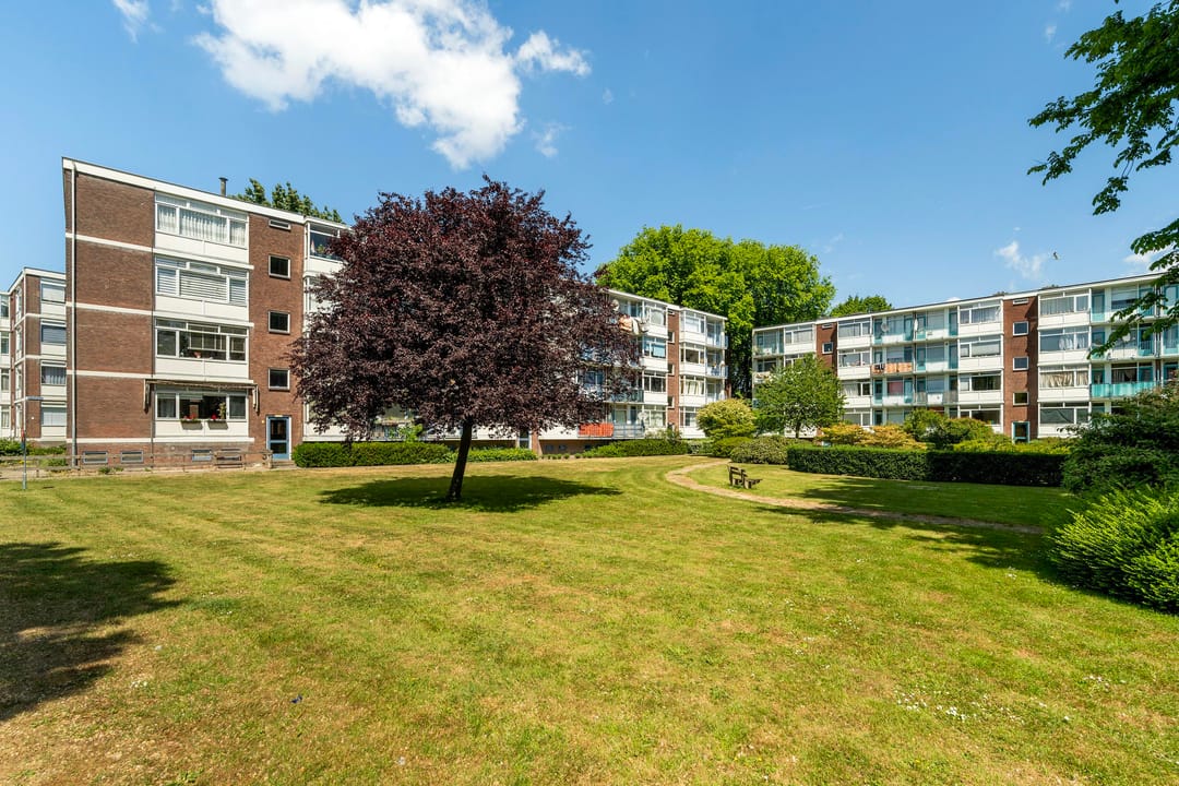 Foto 28 van 2e Eeldepad 51