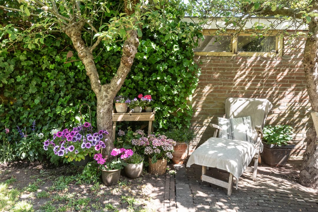 Foto 52 van Kleverparkweg 67