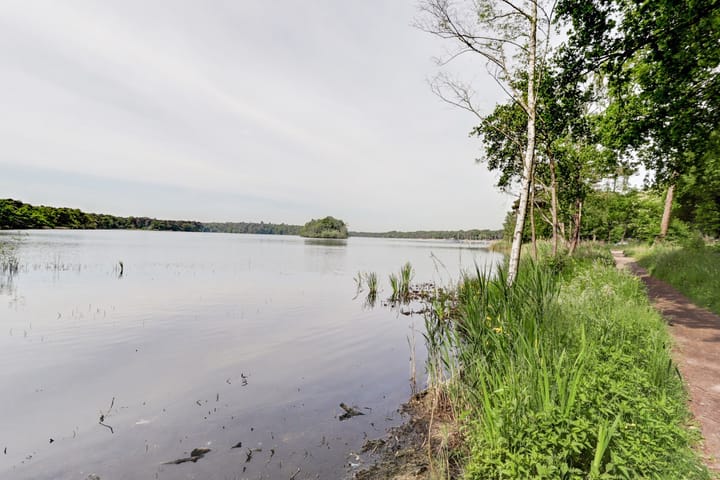 Foto 36 van Loverensestraat 11-R270