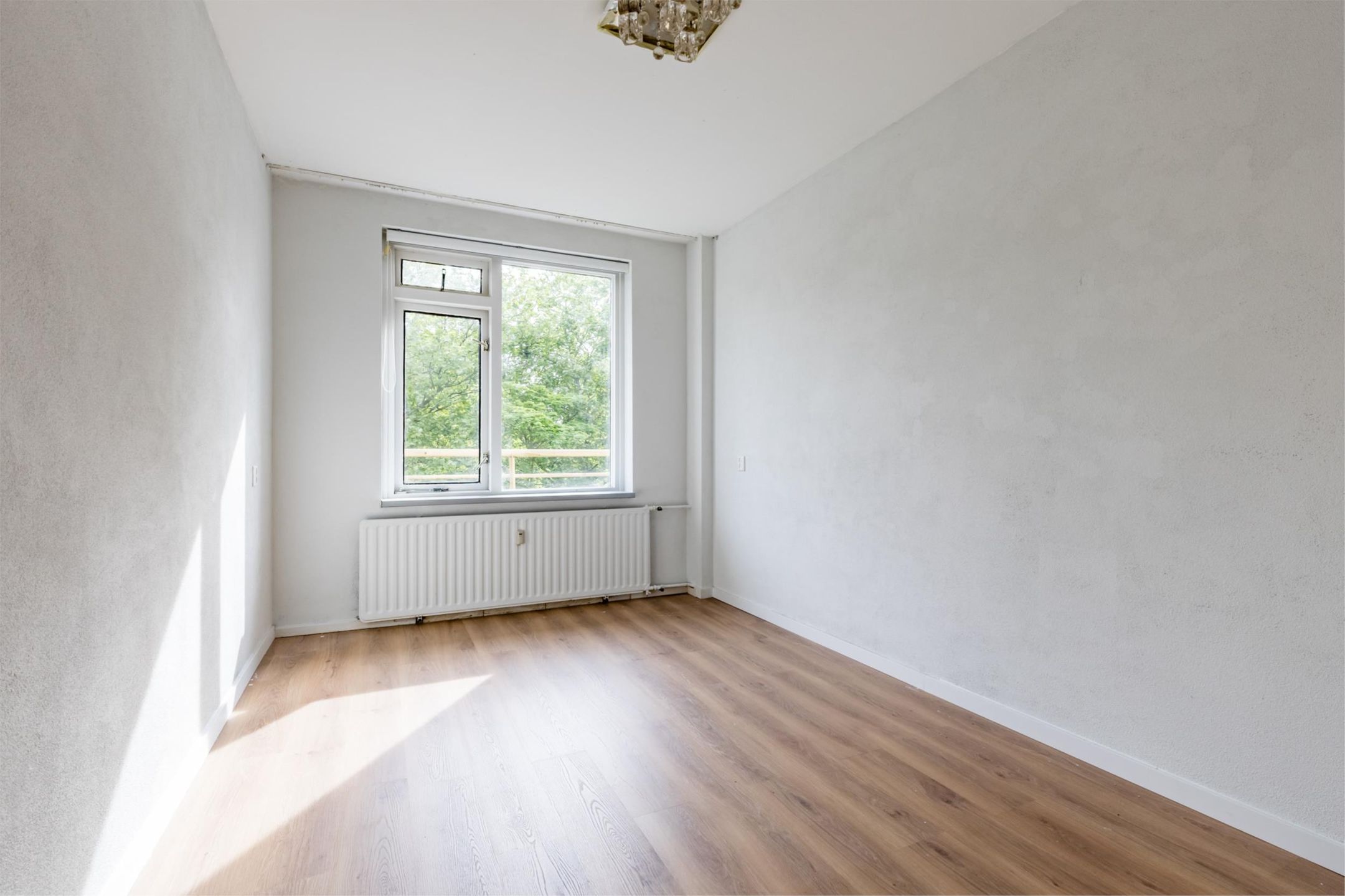 Foto 9 van Livingstonelaan 274