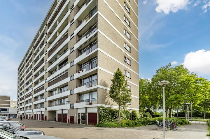 Foto 11 van Livingstonelaan 274