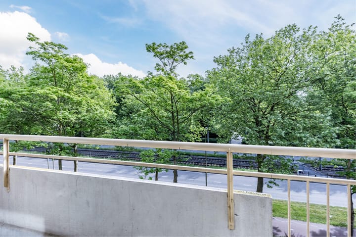 Foto 22 van Livingstonelaan 274