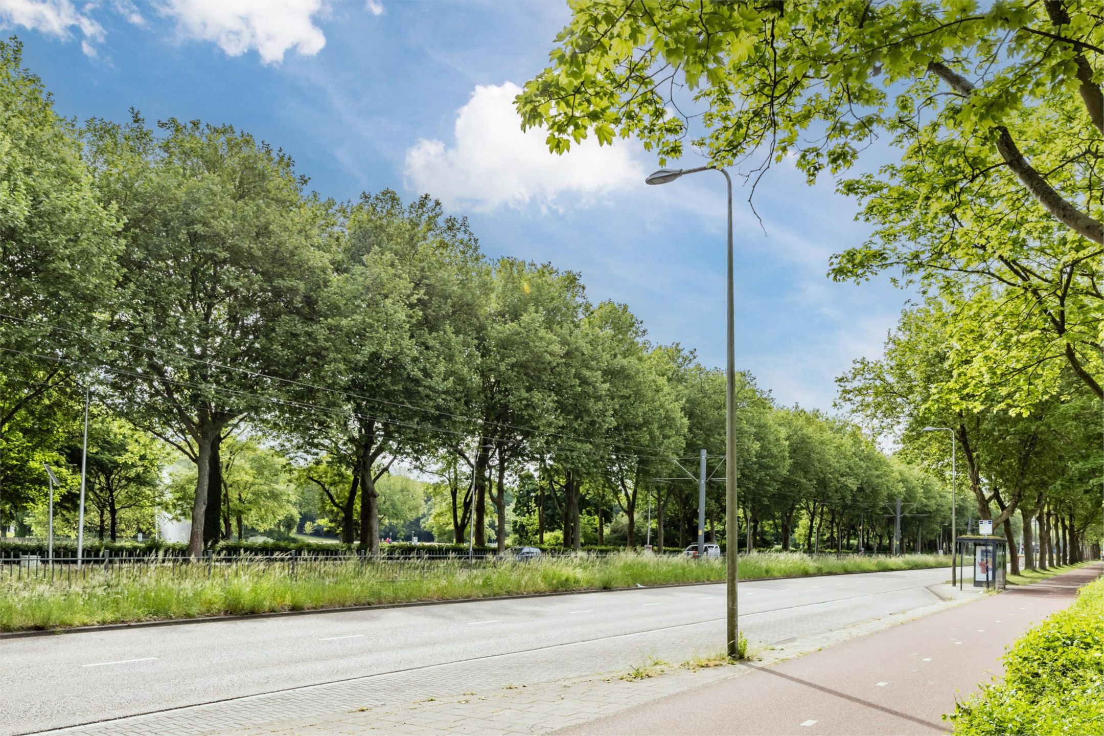 Foto 24 van Livingstonelaan 274