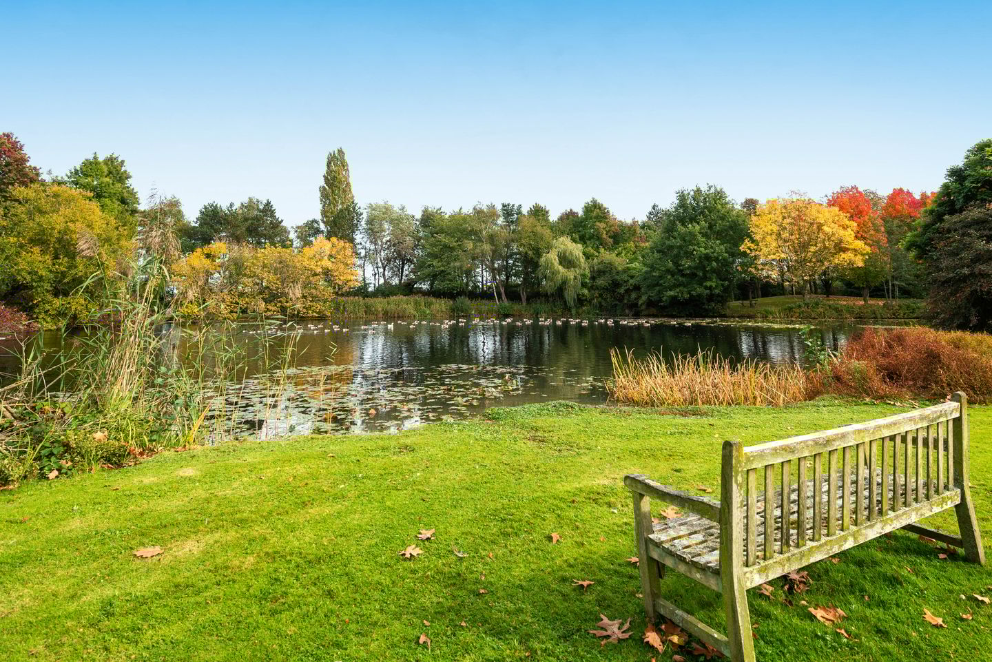 Foto 35 van op aanvraag