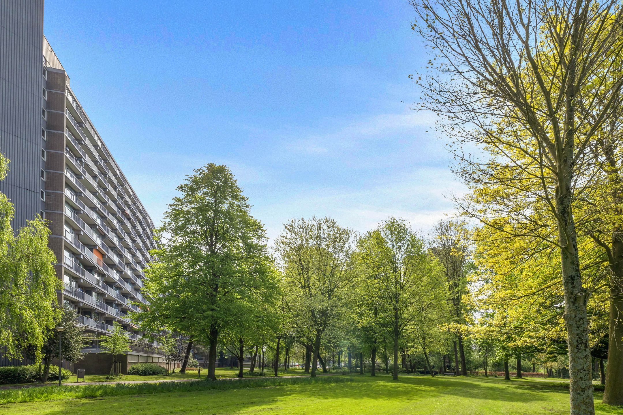 Foto 39 van Chopinplein 41