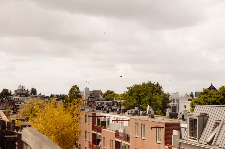 Foto 19 van Govert Flinckstraat 110-C