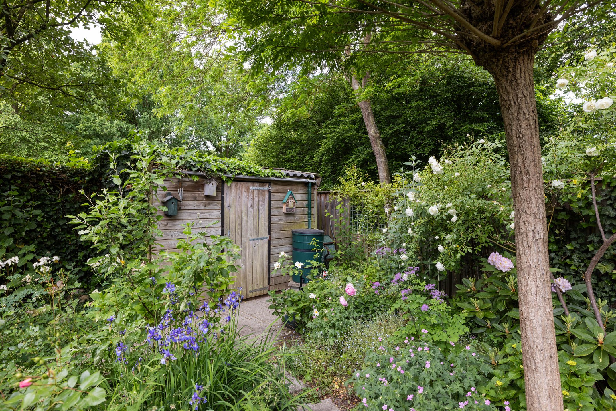 Foto 24 van Berkellaan 34