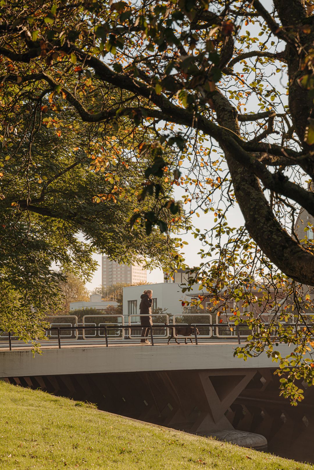 Foto 17 van Bernard Zweerskade 10