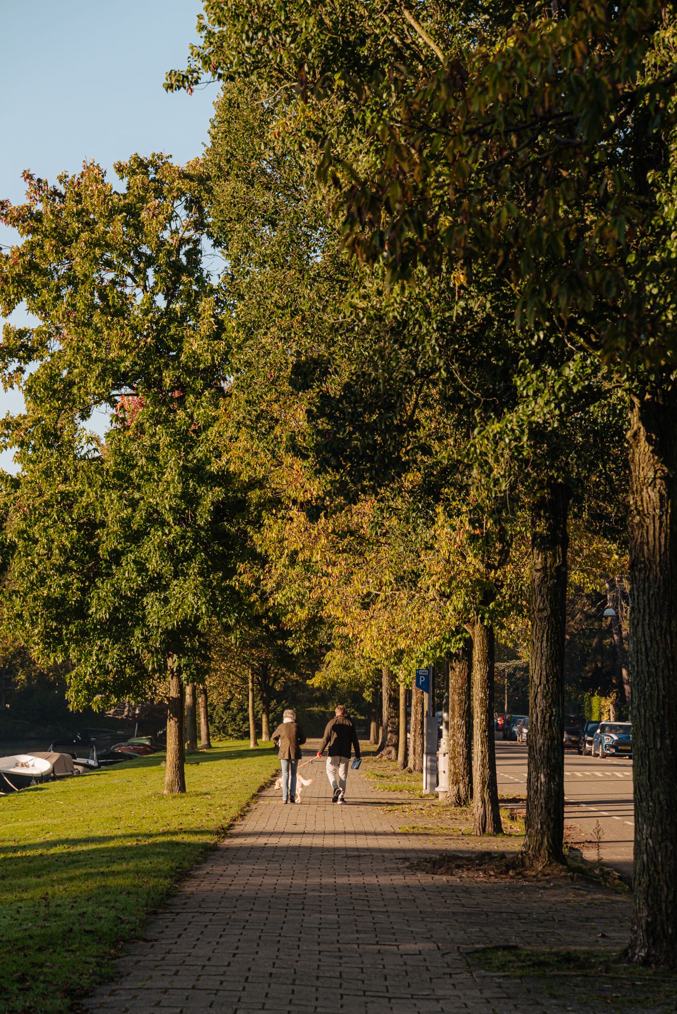 Foto 19 van Bernard Zweerskade 10