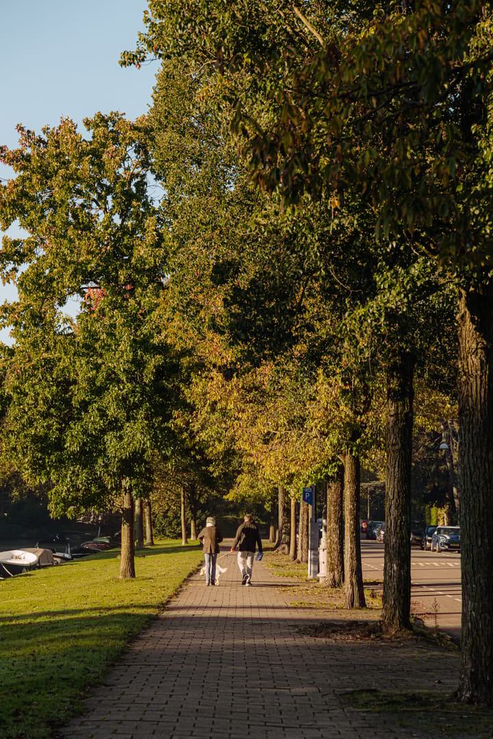 Foto 19 van Bernard Zweerskade 10