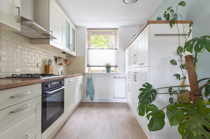 Foto 18 van Boerhoorndreef 76