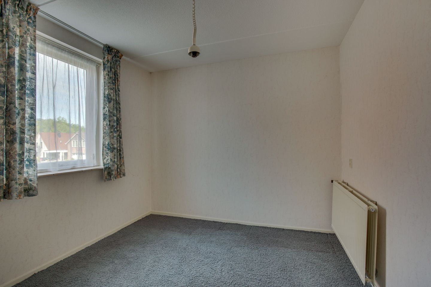 Foto 24 van Kalmoes 18