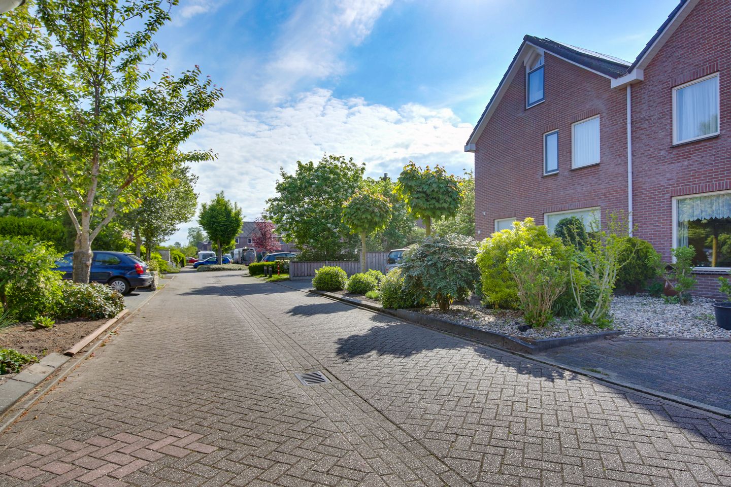 Foto 48 van Kalmoes 18