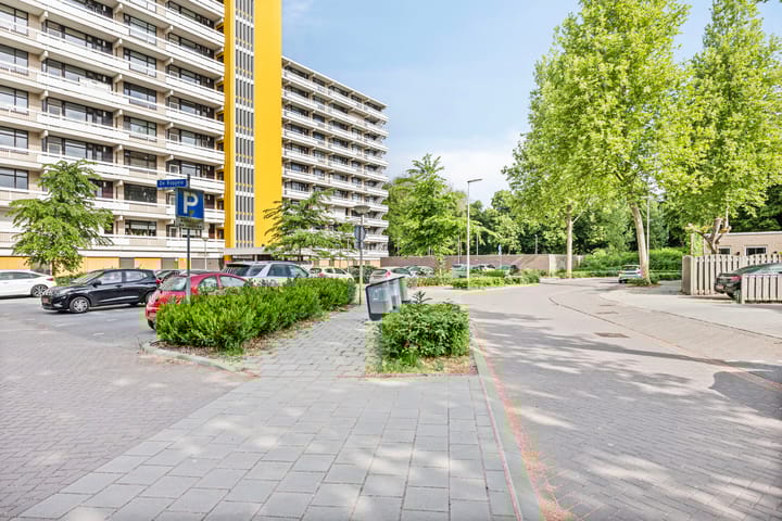 Foto 3 van de Koppele 543