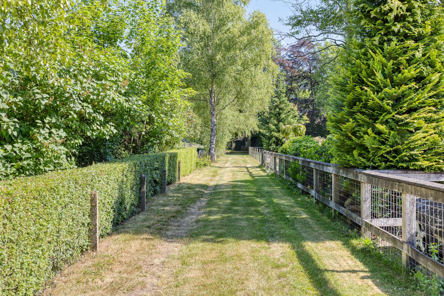 Foto 44 van Oude Boekeloseweg 105