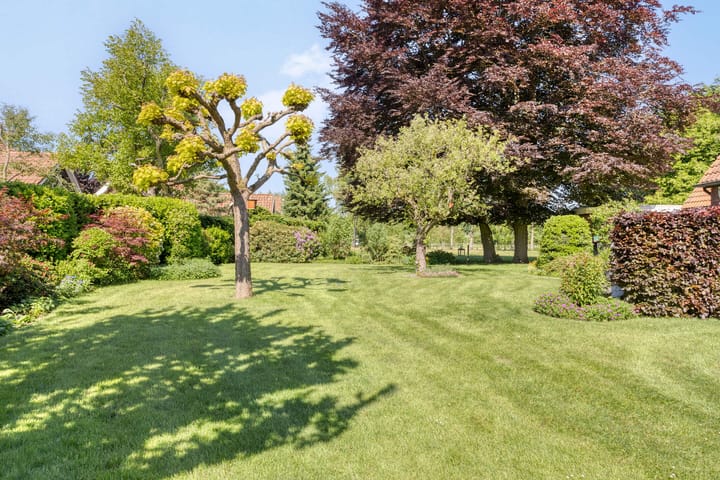 Foto 48 van Oude Boekeloseweg 105