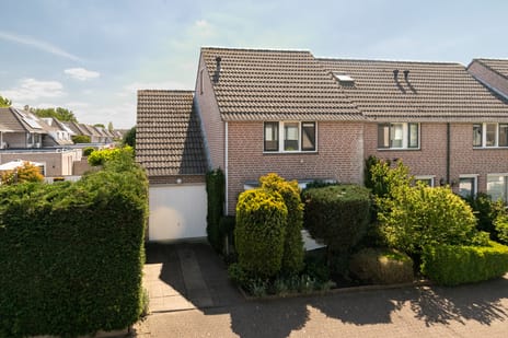 undefined main image