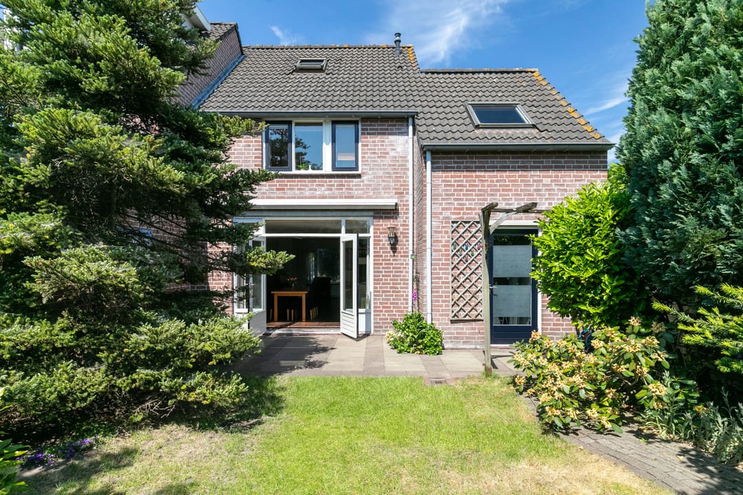 Foto 2 van Gouden Regen 1