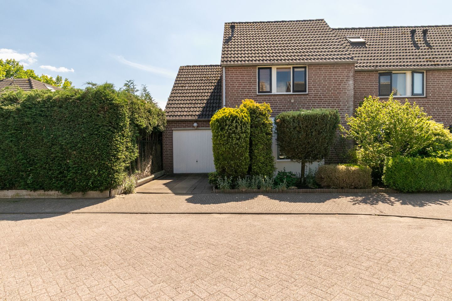 Foto 5 van Gouden Regen 1