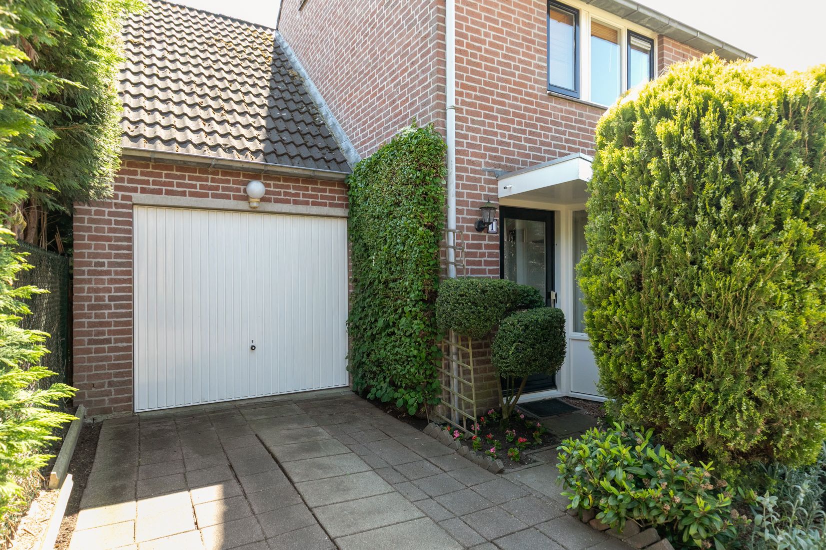 Foto 6 van Gouden Regen 1