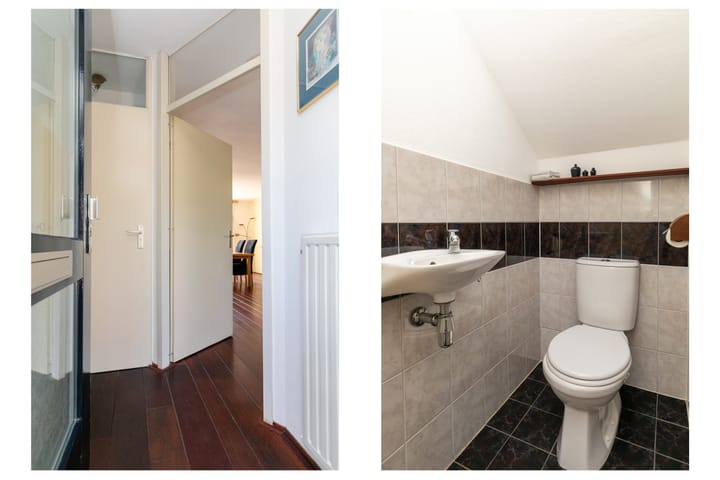 Foto 7 van Gouden Regen 1