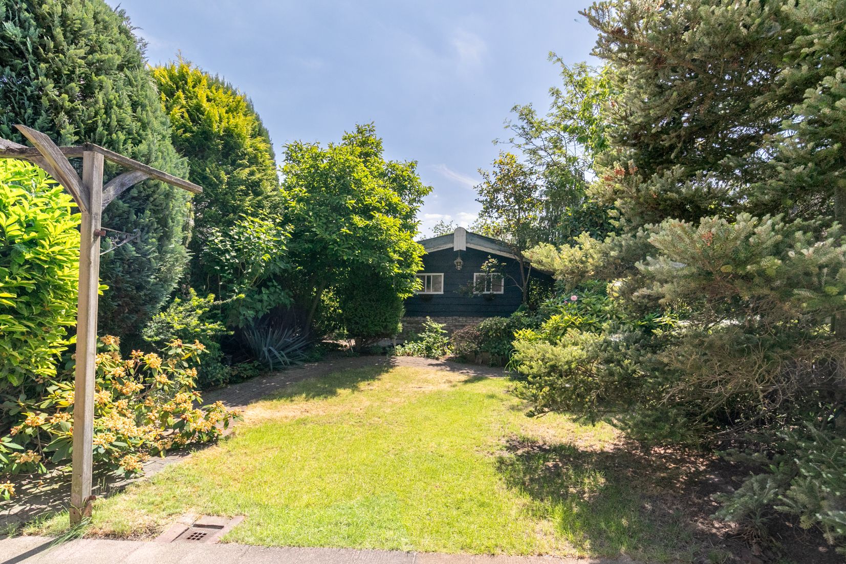 Foto 18 van Gouden Regen 1