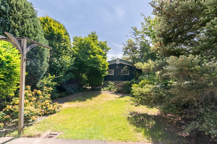 Foto 18 van Gouden Regen 1