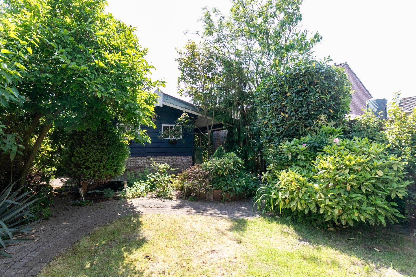 Foto 19 van Gouden Regen 1