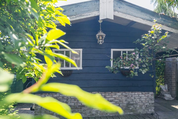 Foto 20 van Gouden Regen 1