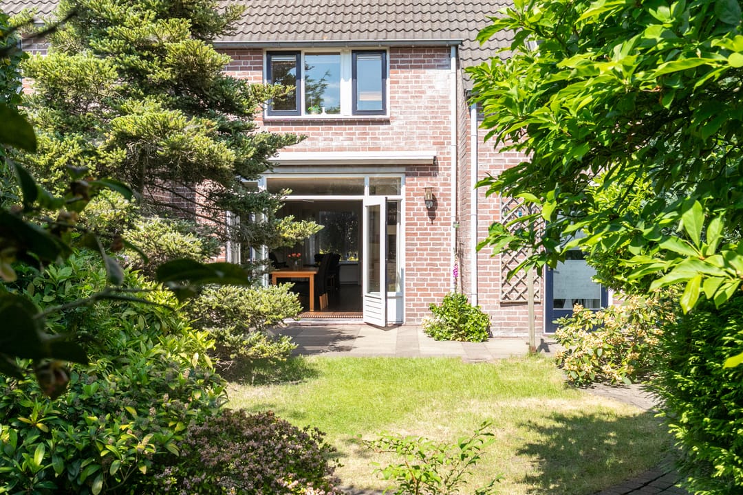 Foto 22 van Gouden Regen 1