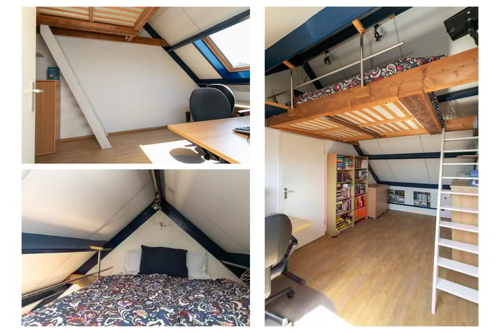 Foto 34 van Gouden Regen 1