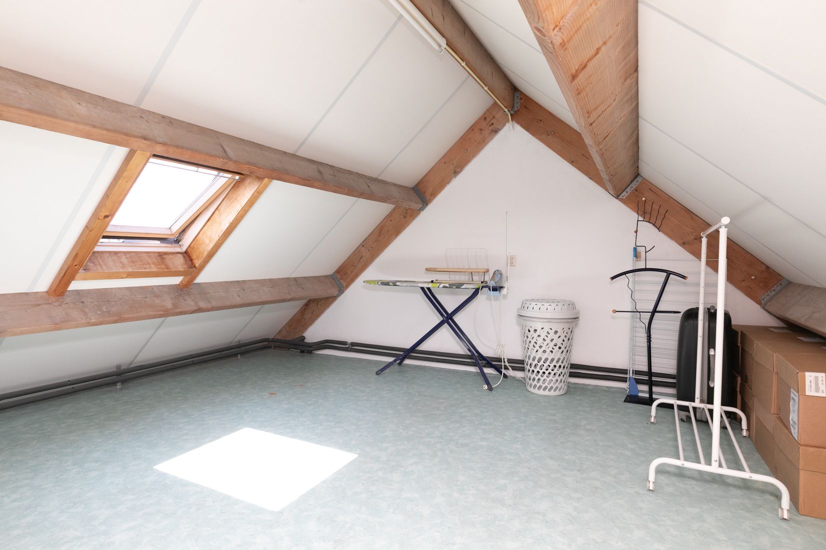 Foto 36 van Gouden Regen 1