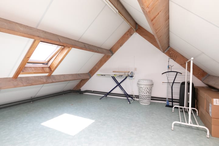 Foto 36 van Gouden Regen 1