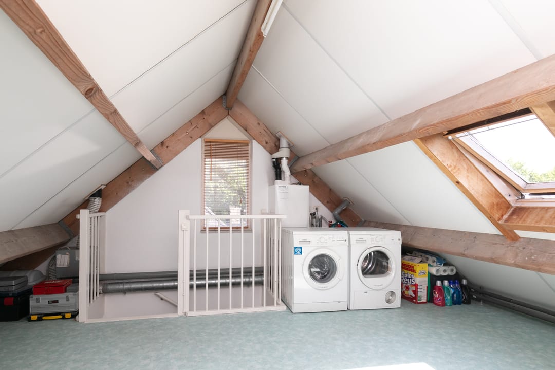 Foto 37 van Gouden Regen 1