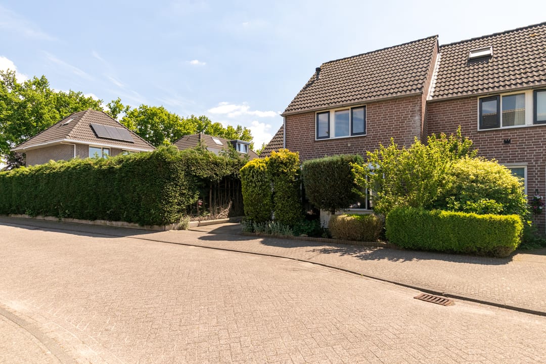 Foto 38 van Gouden Regen 1