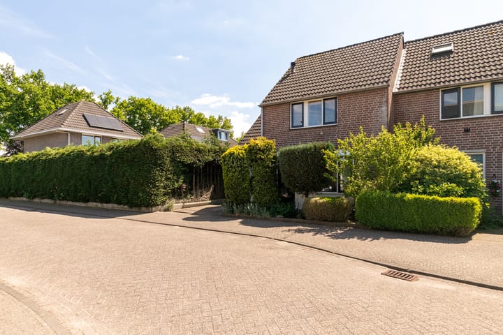 Foto 38 van Gouden Regen 1