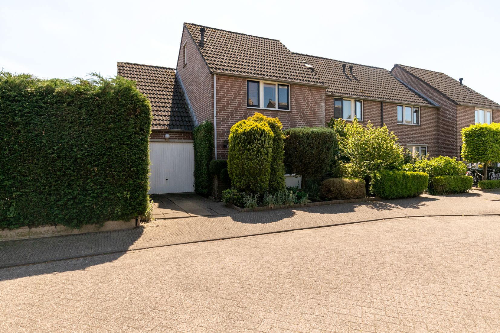 Foto 39 van Gouden Regen 1