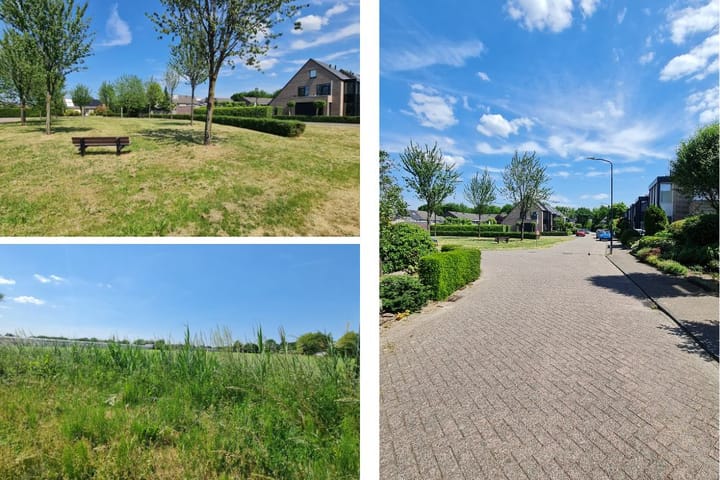 Foto 40 van Gouden Regen 1