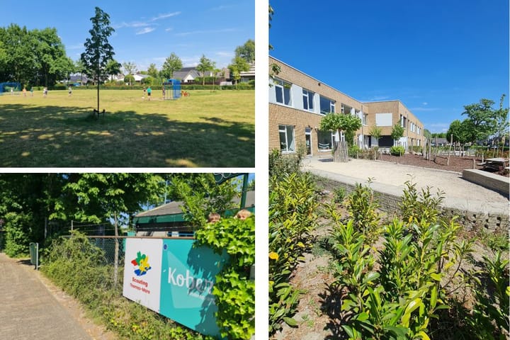 Foto 41 van Gouden Regen 1