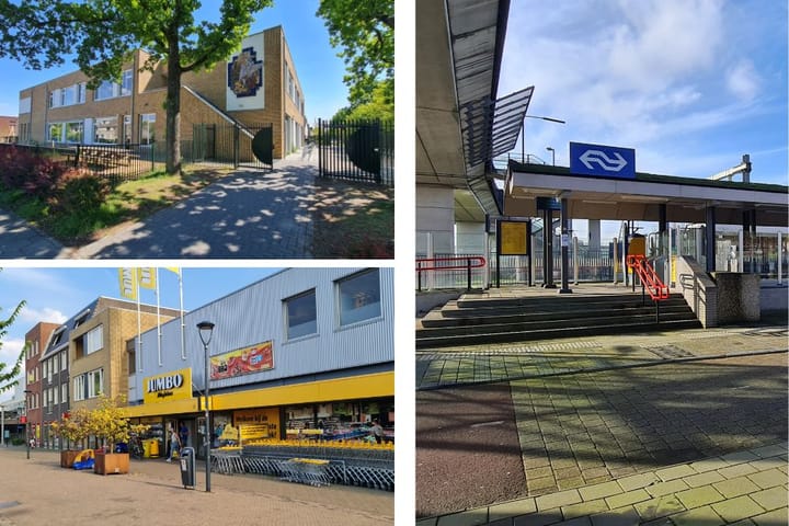 Foto 42 van Gouden Regen 1