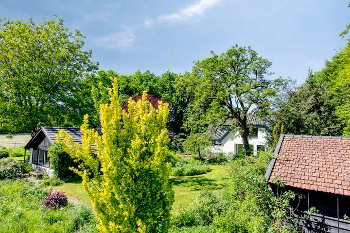 Foto 41 van Veenwaterweg 10