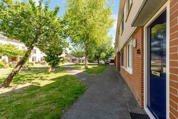 Foto 50 van Moesson 11