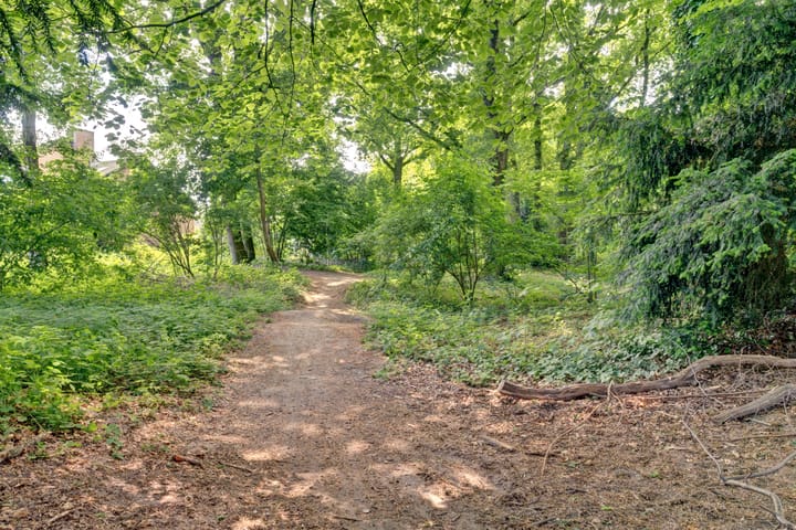 Foto 33 van Vlierhof 4