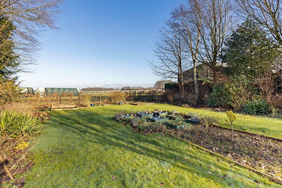 Foto 38 van Bourtangerstraat 29