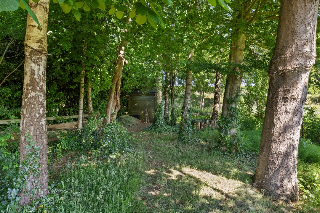 Foto 61 van Eindstraat 36