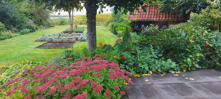 Foto 41 van Bourtangerstraat 29