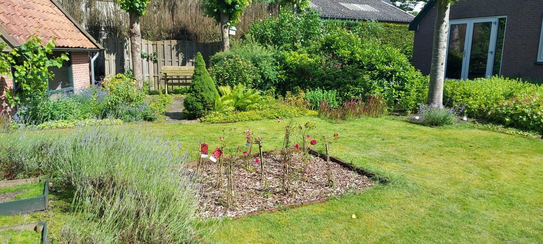 Foto 43 van Bourtangerstraat 29