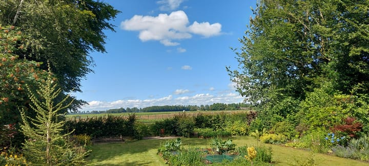 Foto 44 van Bourtangerstraat 29