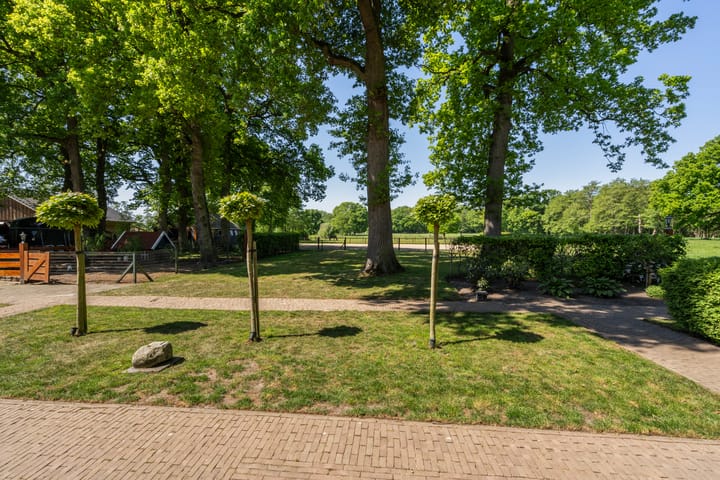 Foto 13 van Goringbos 7