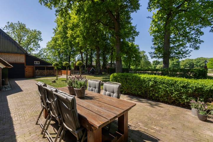 Foto 43 van Goringbos 7